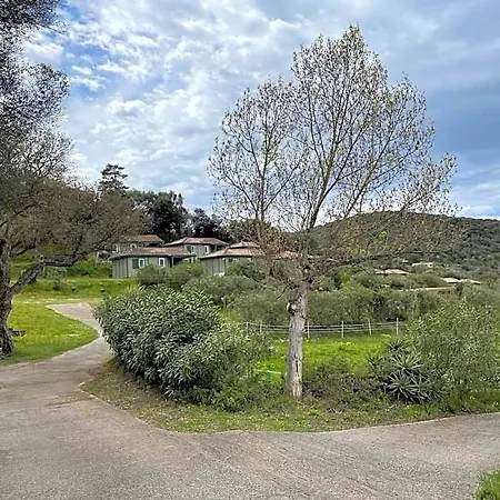 Lavallee Belvedere-Campomoro