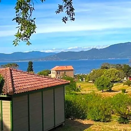 Lavallee